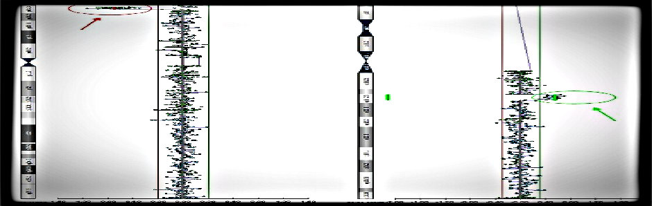 Microarray